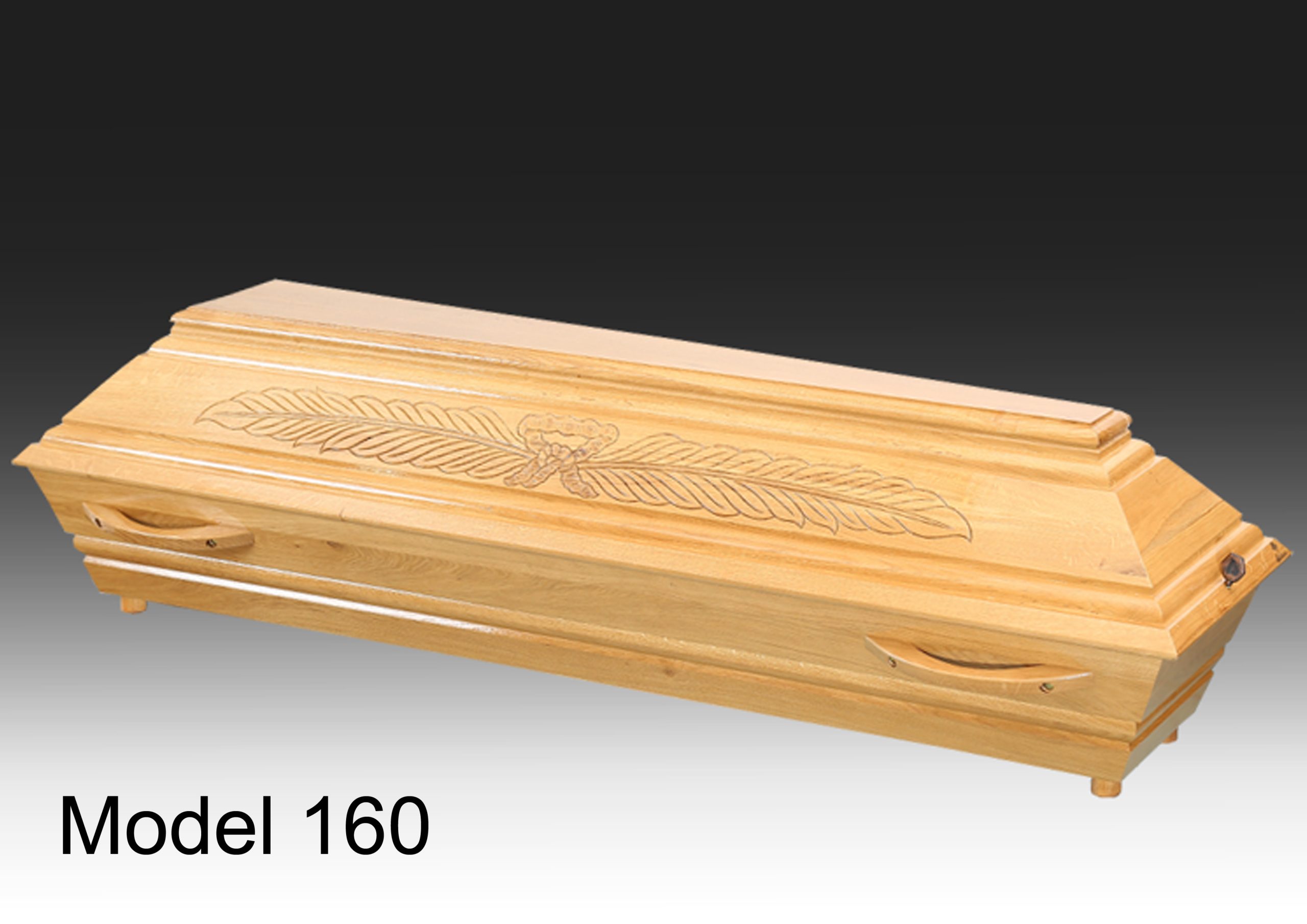Model 160